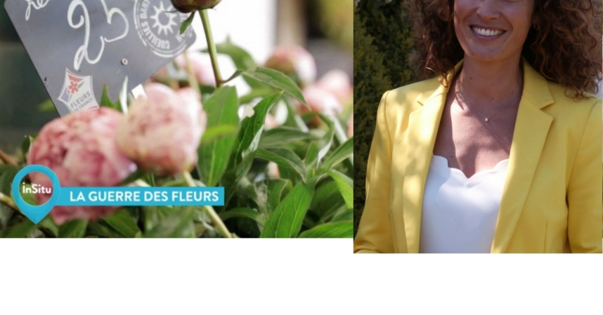 Dans le magazine IN SITU "LA GUERRE DES FLEURS" | FranceTvPro.fr